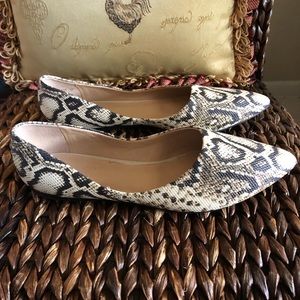Franco Sarto Flats in Size 10M